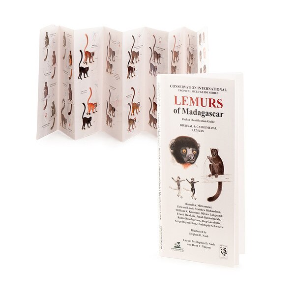 Diurnal Lemurs Field Guide